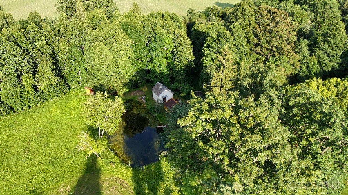 Išskirtinė Sodyba Buvusioje Sutkų Dvaro - nuotraukos Nr. 42