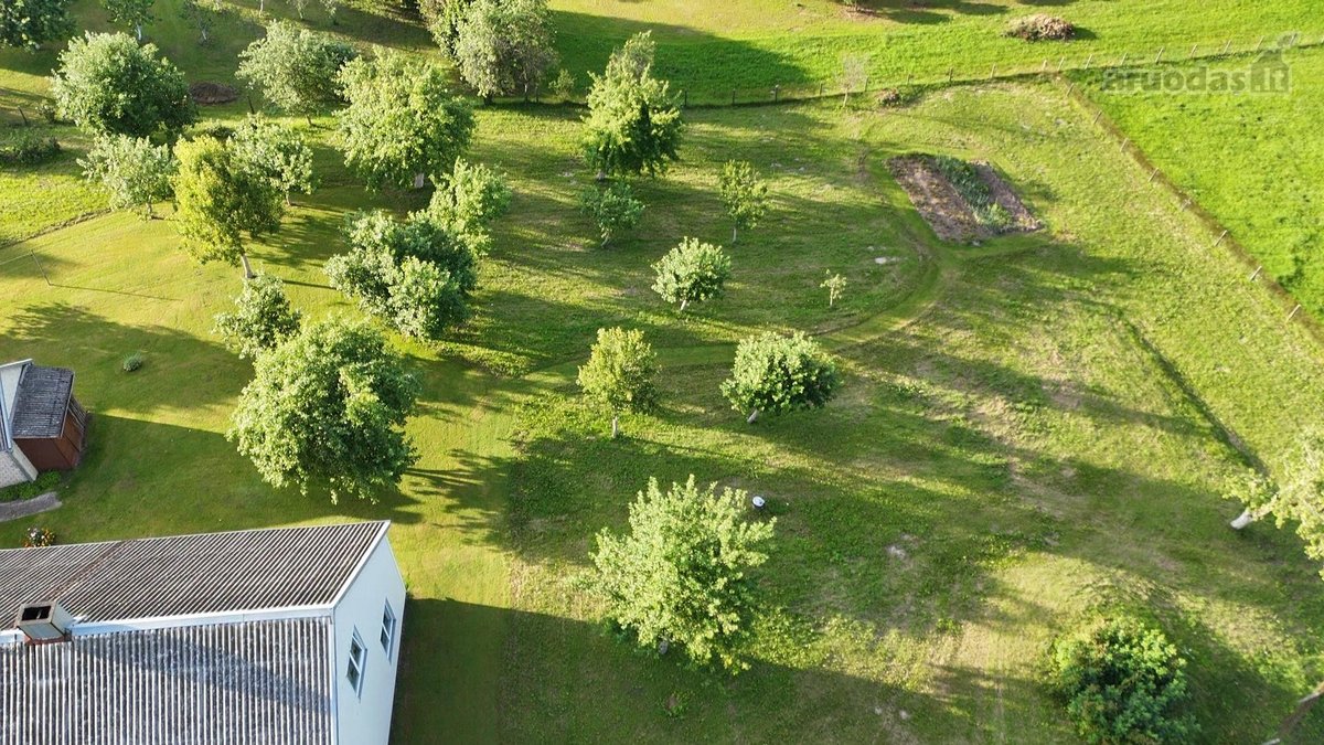 Išskirtinė Sodyba Buvusioje Sutkų Dvaro - nuotraukos Nr. 48