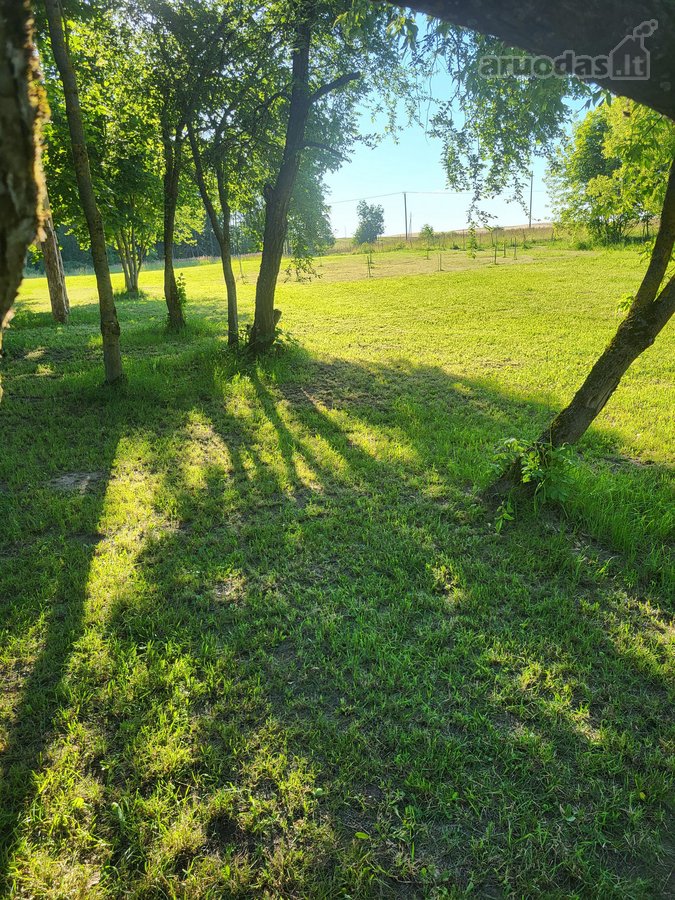 Unikali šimtametė sodyba Anykščių krašte. - nuotraukos Nr. 77