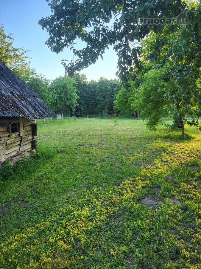 Unikali šimtametė sodyba Anykščių krašte. - nuotraukos Nr. 81