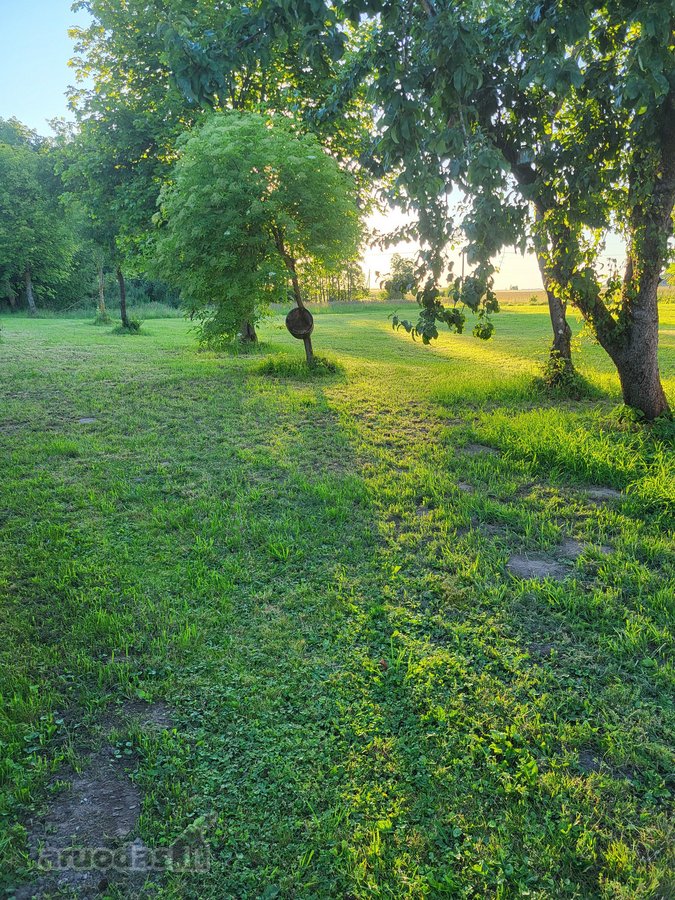 Unikali šimtametė sodyba Anykščių krašte. - nuotraukos Nr. 82