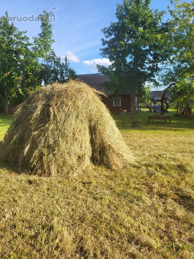 Unikali šimtametė sodyba Anykščių krašte. - nuotraukos Nr. 72