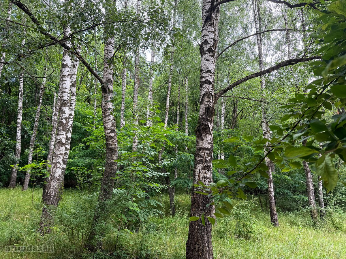 Parduodamas Jaukus 1.5 Kambario Butas Kaune, - nuotraukos Nr. 16
