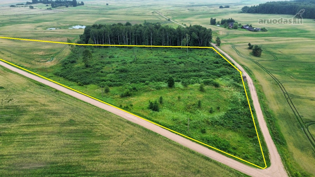 Parduodamas 4,10 ha žemės sklypas Maseliškių - nuotraukos Nr. 3