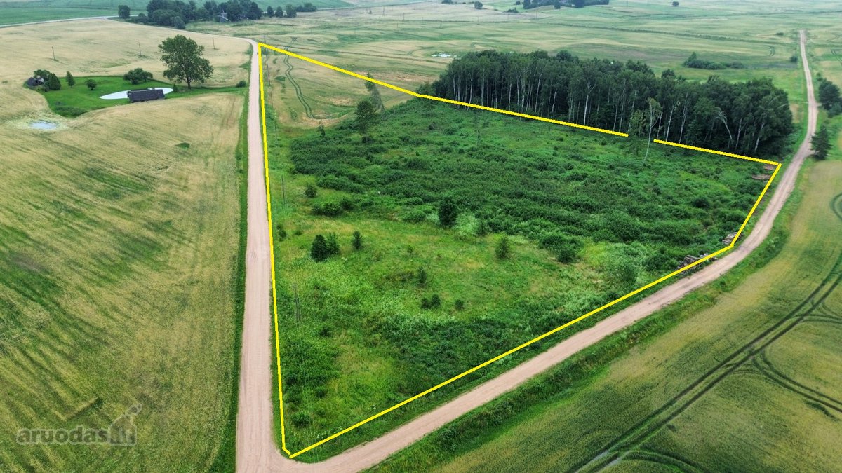 Parduodamas 4,10 ha žemės sklypas Maseliškių - nuotraukos Nr. 4