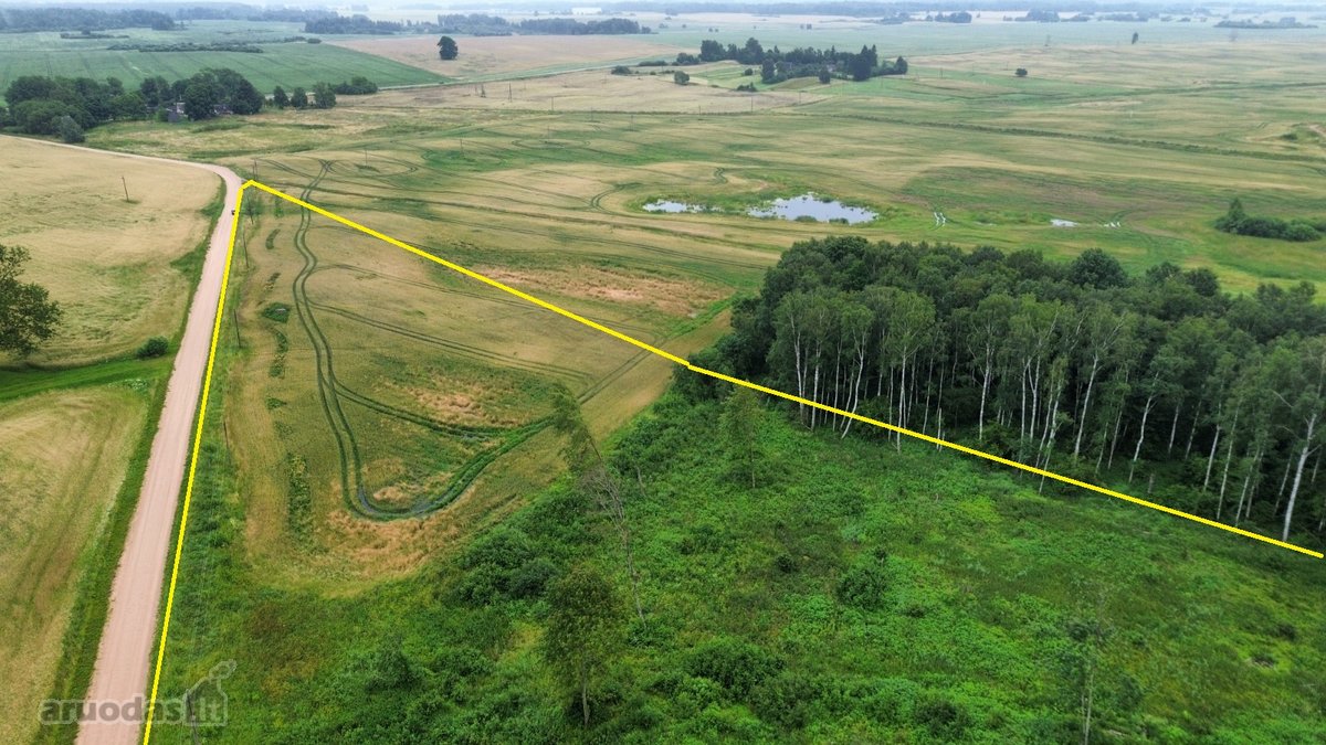 Parduodamas 4,10 ha žemės sklypas Maseliškių - nuotraukos Nr. 5