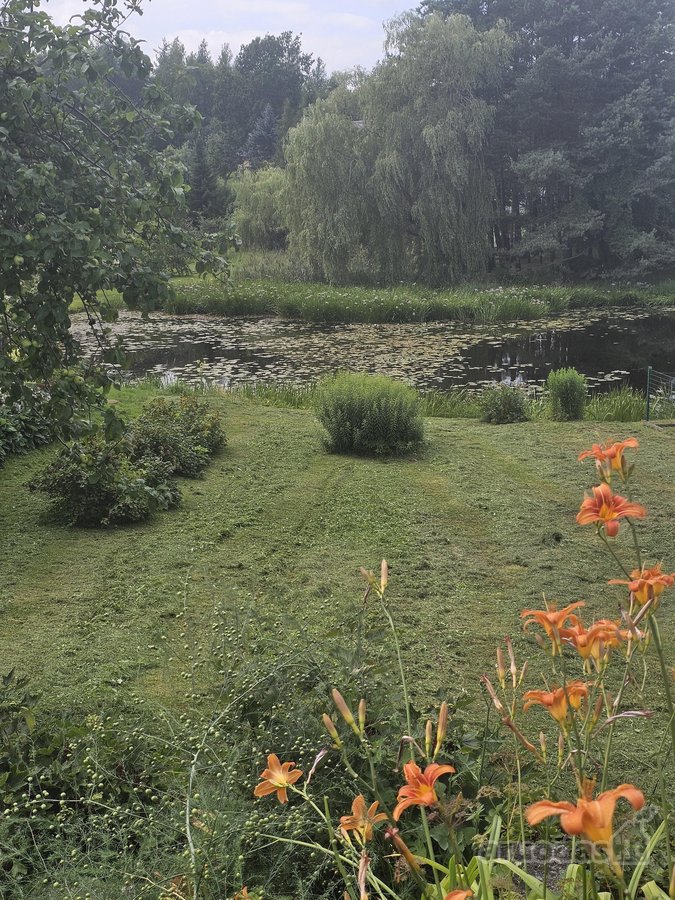 Parduodamas 6,66 a sodo sklypas SB „Vyturėlis - nuotraukos Nr. 7