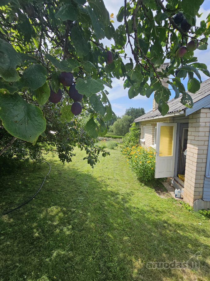 Parduodamas 6,66 a sodo sklypas SB „Vyturėlis - nuotraukos Nr. 10