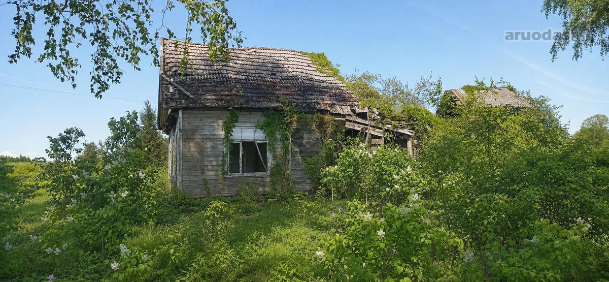 Pilvingių k. (Varėnos r.), Dzūkijos miškų - nuotraukos Nr. 3