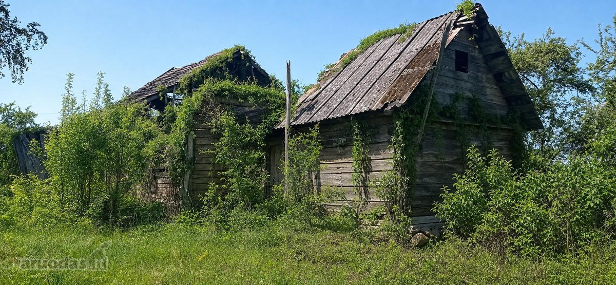 Pilvingių k. (Varėnos r.), Dzūkijos miškų - nuotraukos Nr. 2