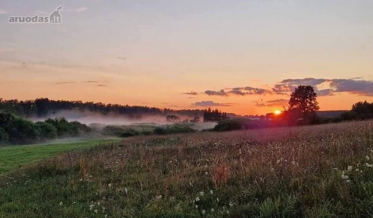 Sodyba Prie Anykščių(vikonys. 2,5 km iki - nuotraukos Nr. 18