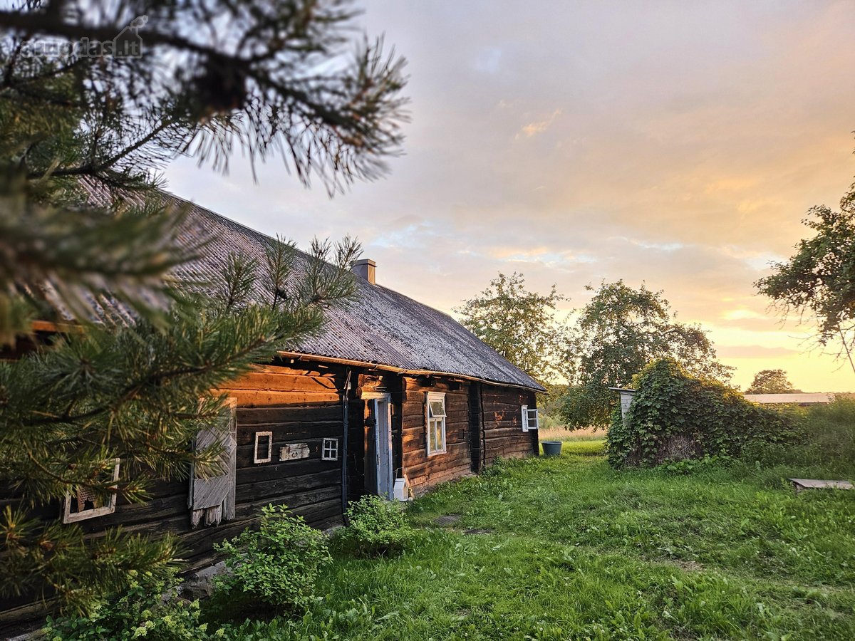 Sodyba Prie Anykščių(vikonys. 2,5 km iki - nuotraukos Nr. 32