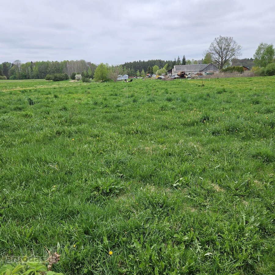 Parduodama sodyba Šakių rajone, Pervazninkų - nuotraukos Nr. 8