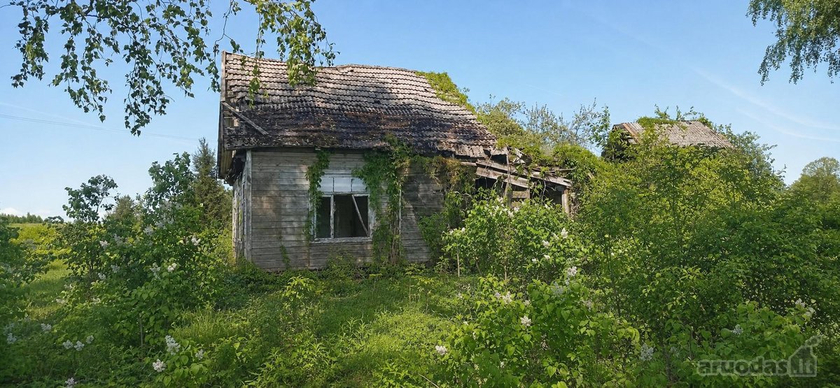 Pilvingių k. (Varėnos r.), Dzūkijos miškų - nuotraukos Nr. 3