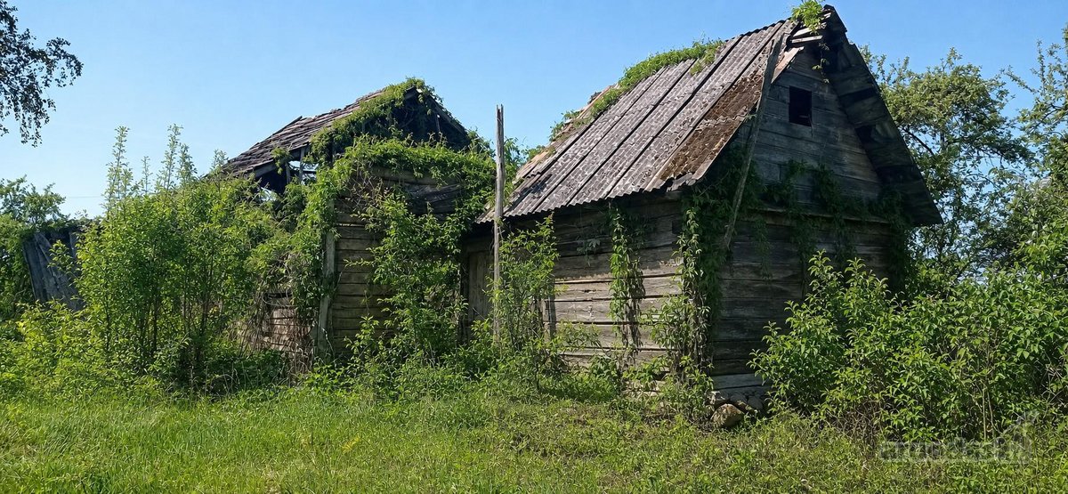Pilvingių k. (Varėnos r.), Dzūkijos miškų - nuotraukos Nr. 2