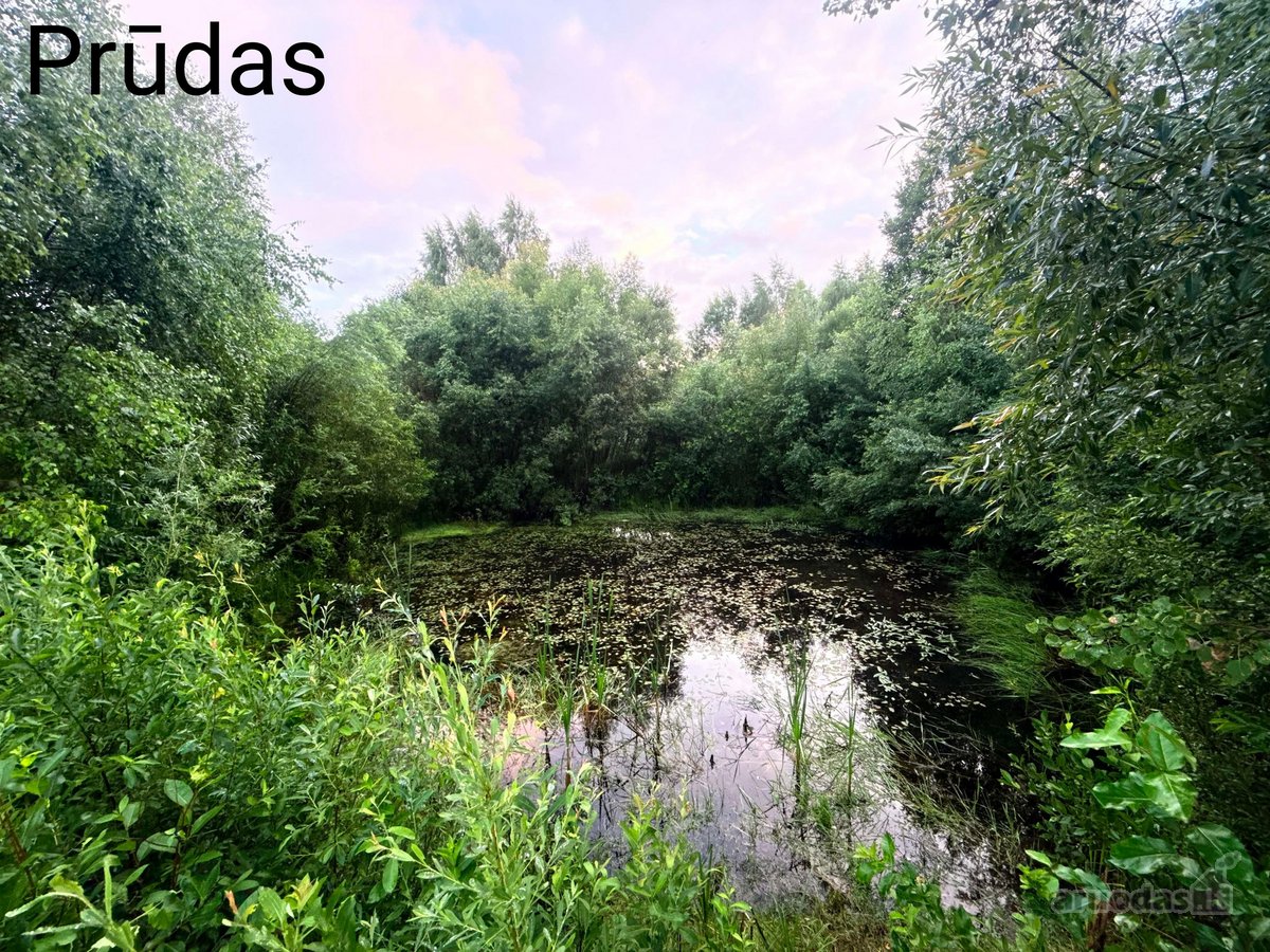 Parduodami Du Besiribojantys Sklypai Puntūzų - nuotraukos Nr. 6