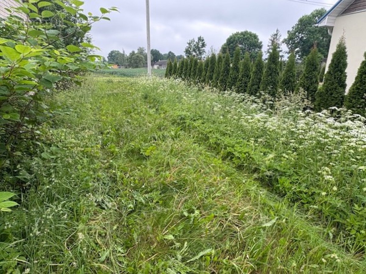 Gyvenamasis namas su žemės sklypu ir - nuotraukos Nr. 14