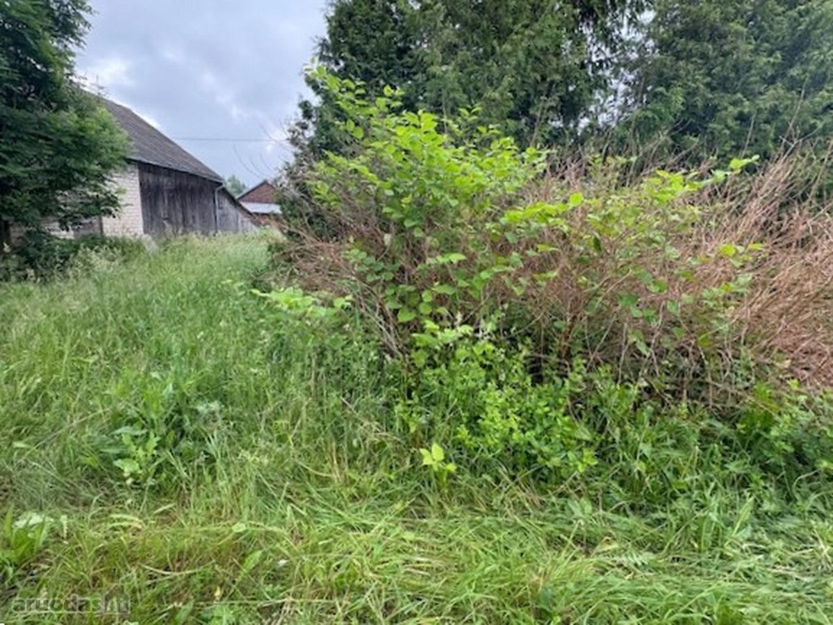 Gyvenamasis namas su žemės sklypu ir - nuotraukos Nr. 15