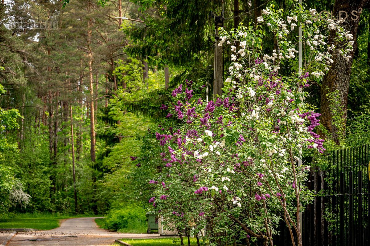 Pradėkite naują gyvenimą Valakampiuose, - nuotraukos Nr. 10
