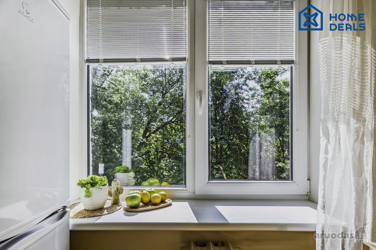 Saulės pripildyta erdvė ir ramus vaizdas pro - nuotraukos Nr. 19