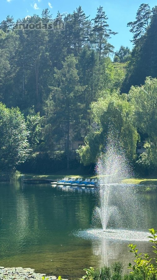 Parduodamas namas išskirtinėje Ignalinos - nuotraukos Nr. 8