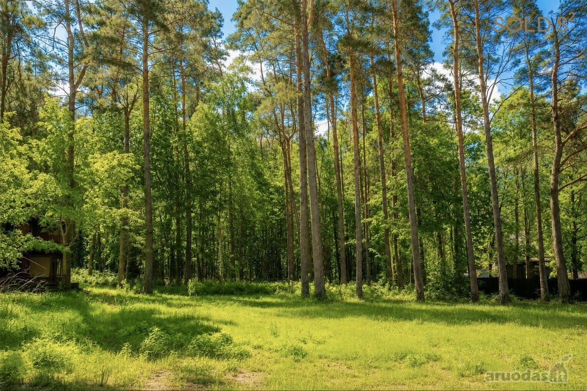 Artimoje Valakampių dalyje parduodamas 30 arų - nuotraukos Nr. 3