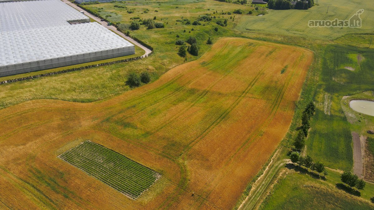 Parduodamas 82 arų sklypas Kareivonyse – - nuotraukos Nr. 2