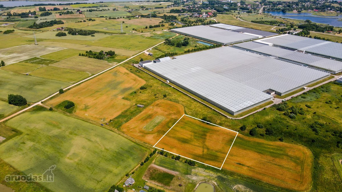 Parduodamas 82 arų sklypas Kareivonyse – - nuotraukos Nr. 6