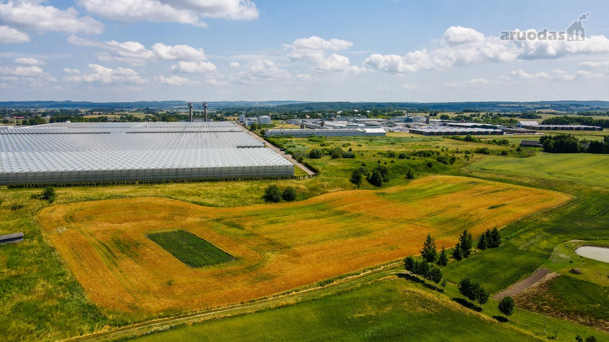 Parduodamas 82 arų sklypas Kareivonyse – - nuotraukos Nr. 3