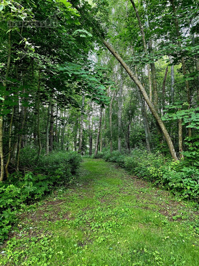 Išskirtinė sodyba prie Ligajų ežero – 330 m - nuotraukos Nr. 6