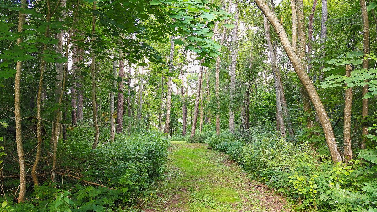 Išskirtinė sodyba prie Ligajų ežero – 330 m - nuotraukos Nr. 20