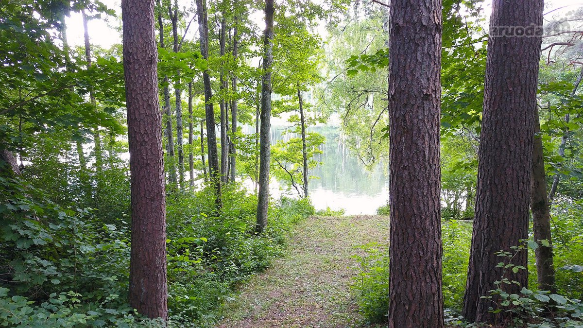 Išskirtinė sodyba prie Ligajų ežero – 330 m - nuotraukos Nr. 21