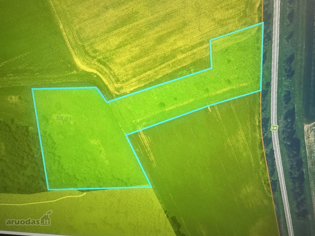 Parduodamas 3,5 Ha Žemės Sklypas Prie Lydos Plento - nuotraukos Nr. 2