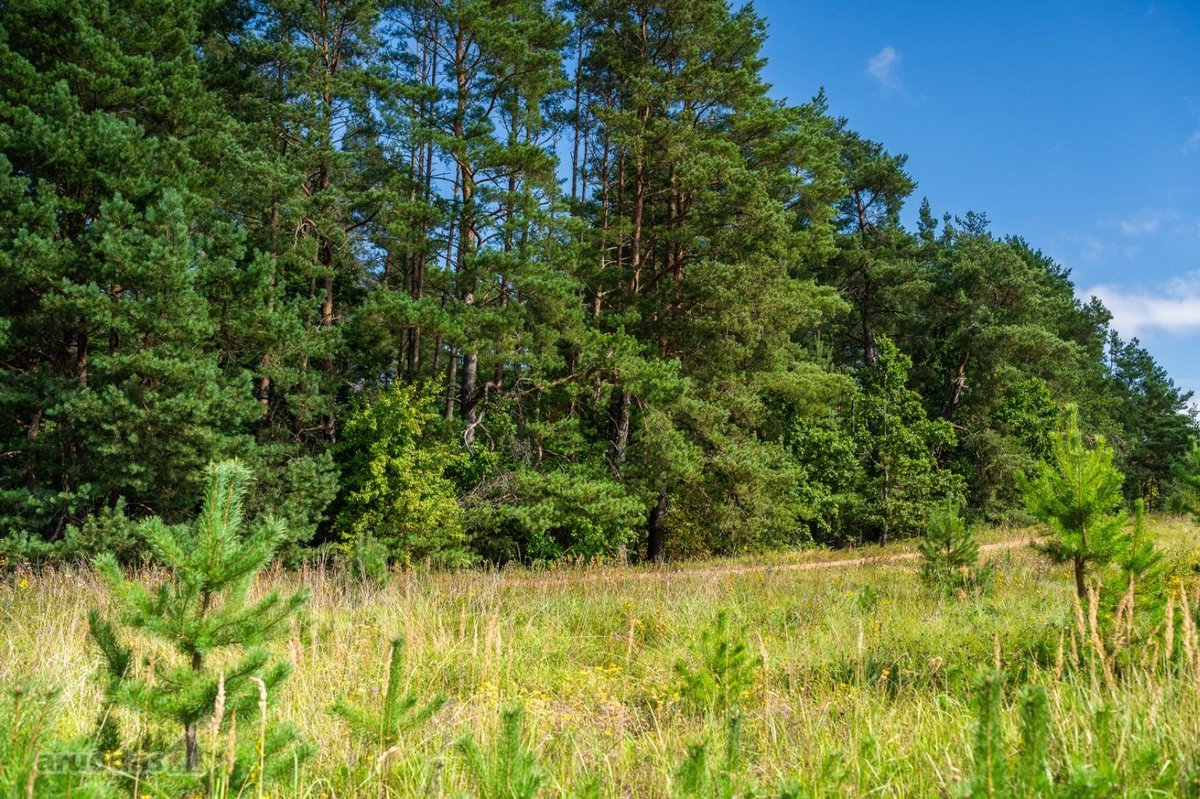 Parduodamas Pilnai Įrengtas 4 Kambarių - nuotraukos Nr. 27