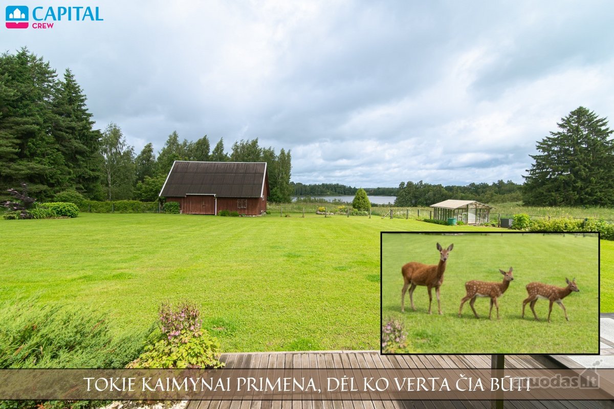 Sutvarkyta ir jauki sodyba, apsupta gamtos, - nuotraukos Nr. 3