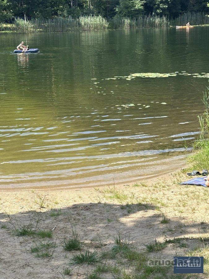 Parduodamas sodo sklypas Vosyliukuose su - nuotraukos Nr. 5