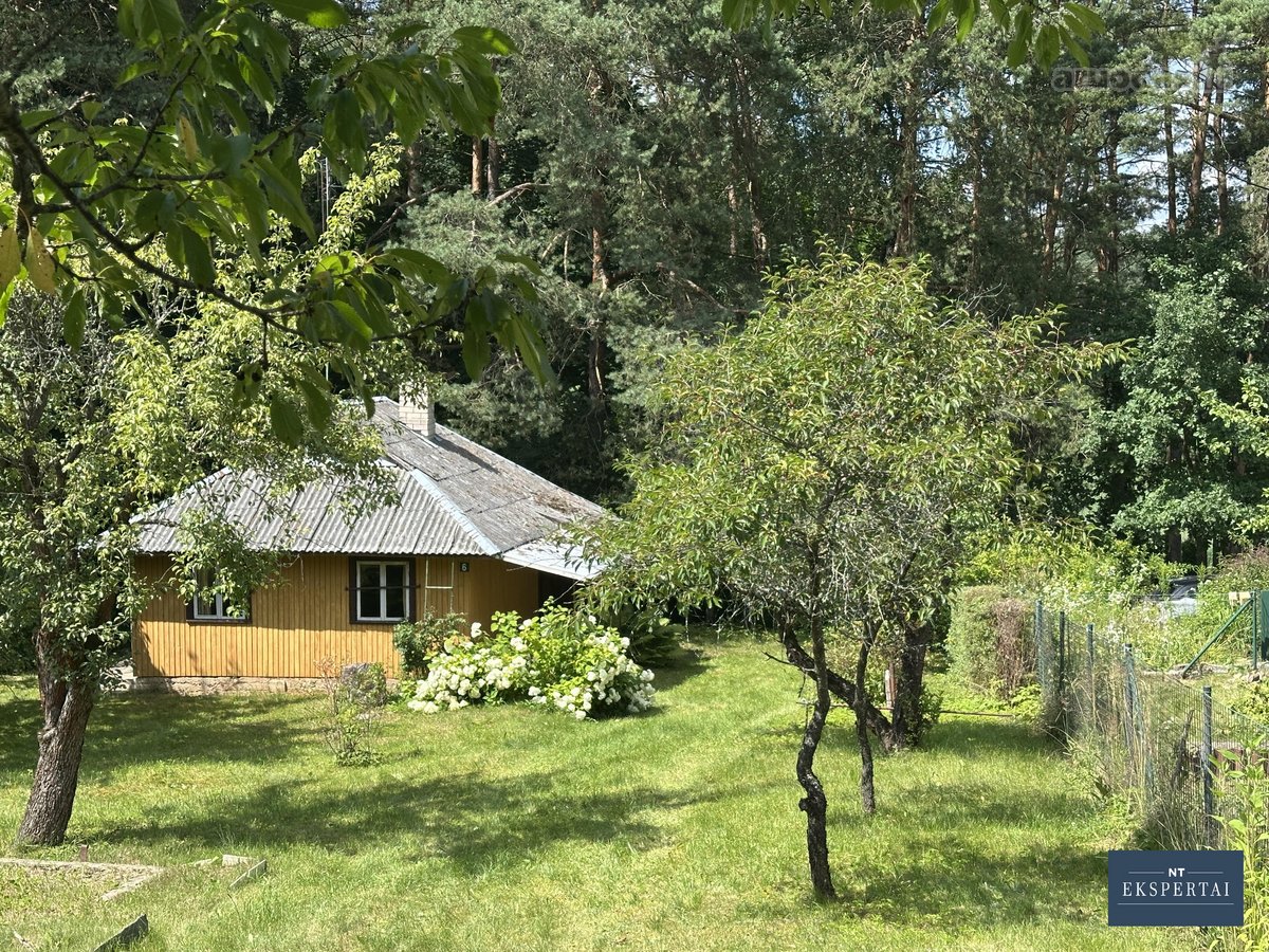 Parduodamas sodo sklypas Vosyliukuose su - nuotraukos Nr. 3