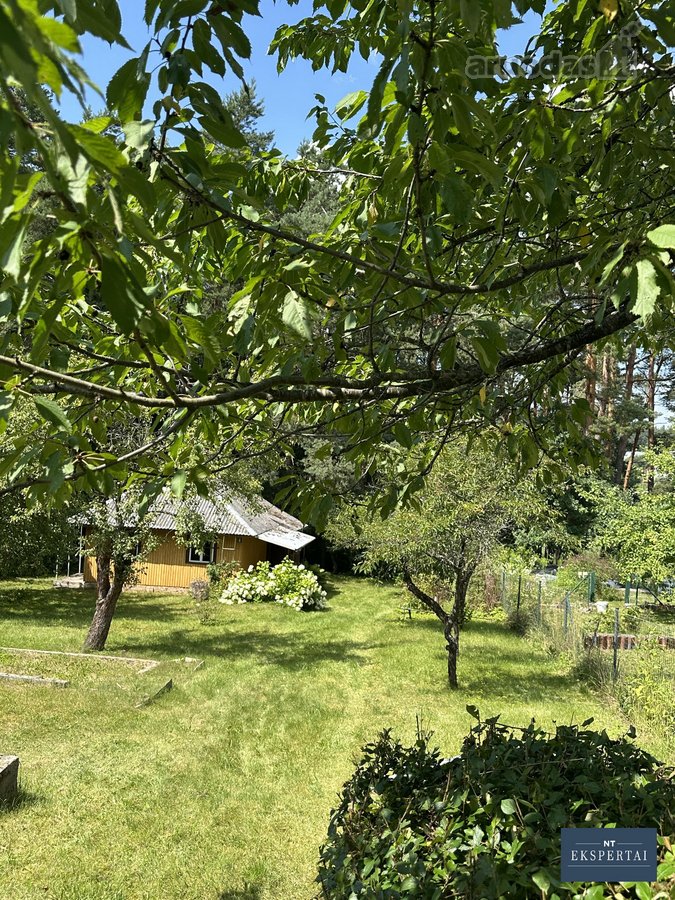 Parduodamas sodo sklypas Vosyliukuose su - nuotraukos Nr. 8
