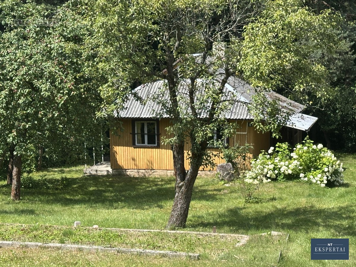 Parduodamas sodo sklypas Vosyliukuose su - nuotraukos Nr. 2