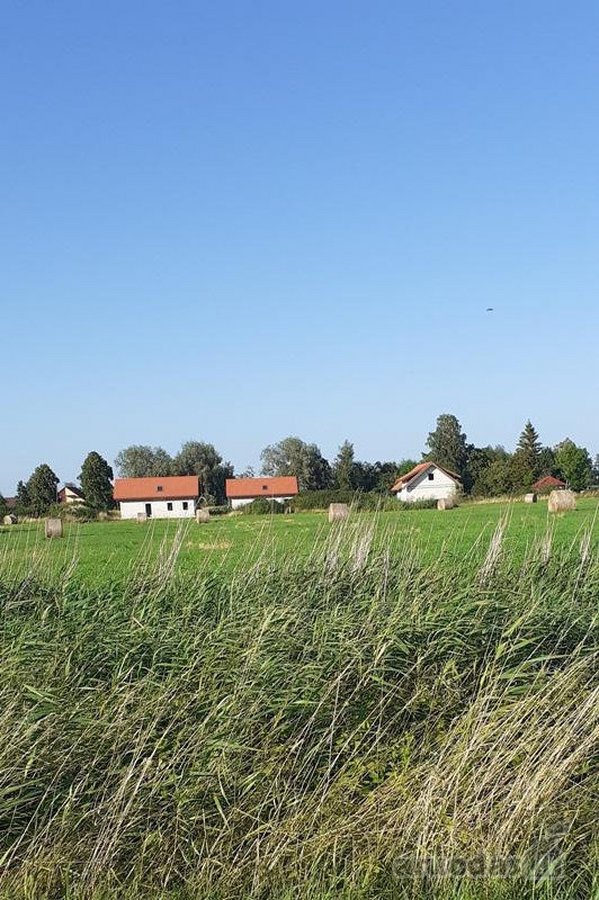 Rusnes saloje , Pakalnes kaime , prie - nuotraukos Nr. 6