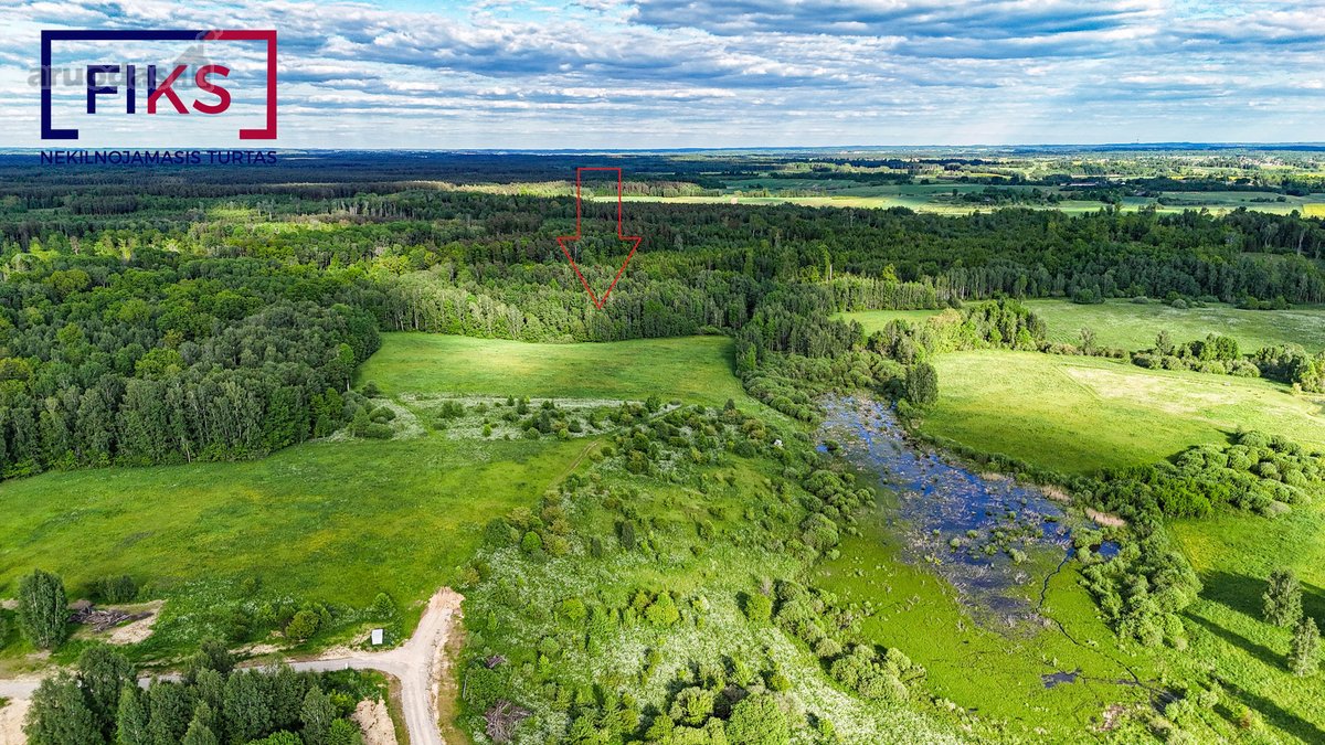 Parduodamas 12,45 Ha Žemės Ūkio Paskirties - nuotraukos Nr. 9