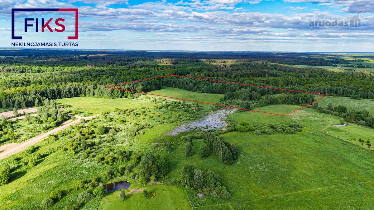 Parduodamas 12,45 Ha Žemės Ūkio Paskirties - nuotraukos Nr. 11