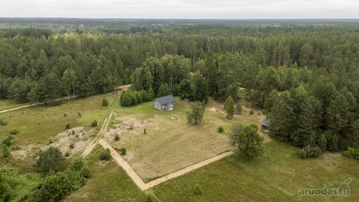 Dzūkijos Pušynuose Šalia Merkio Upės - nuotraukos Nr. 22