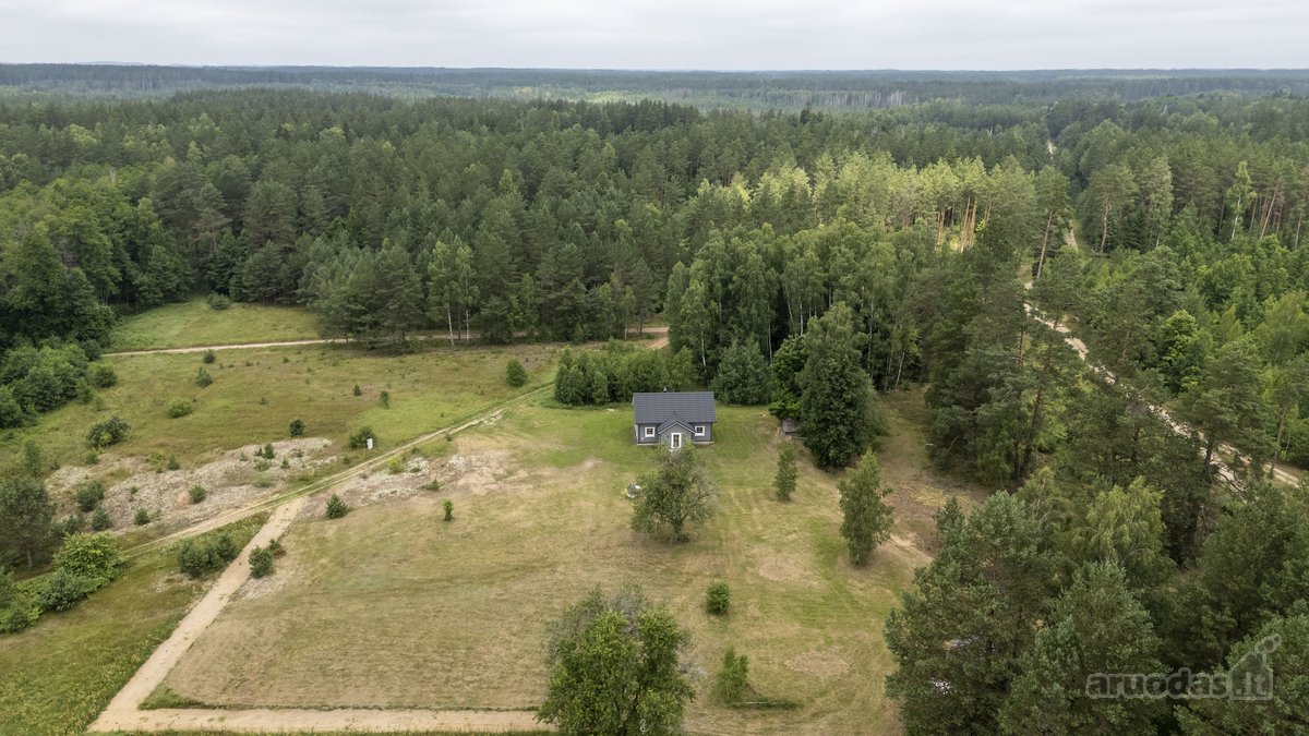 Dzūkijos Pušynuose Šalia Merkio Upės - nuotraukos Nr. 23