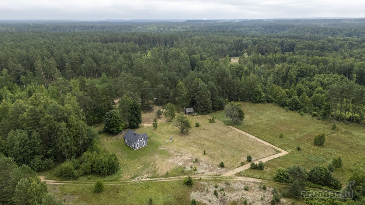 Dzūkijos Pušynuose Šalia Merkio Upės - nuotraukos Nr. 24
