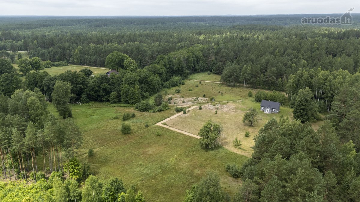 Dzūkijos Pušynuose Šalia Merkio Upės - nuotraukos Nr. 25
