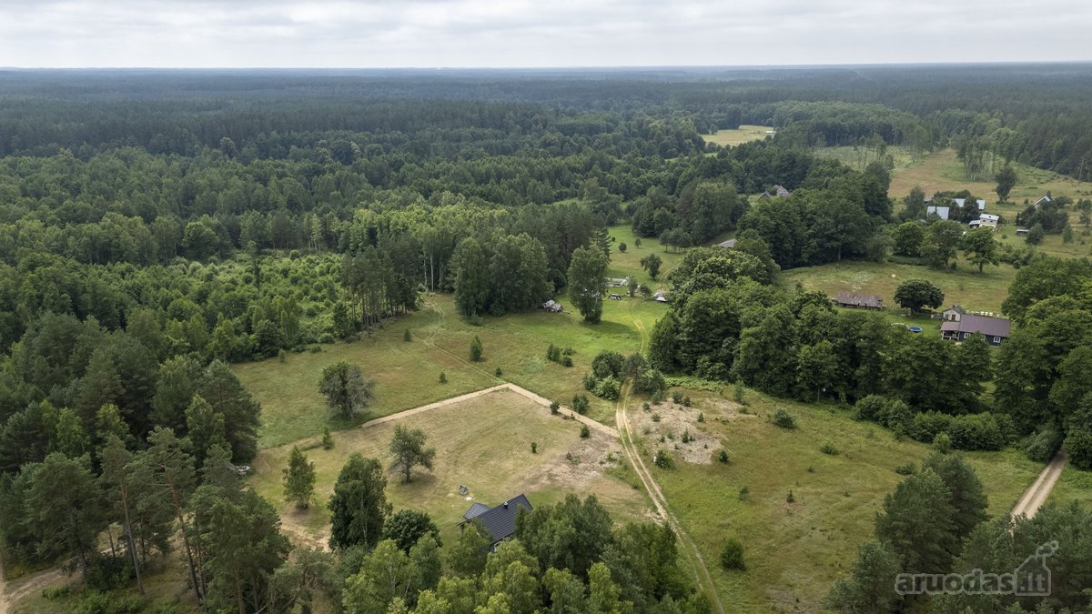 Dzūkijos Pušynuose Šalia Merkio Upės - nuotraukos Nr. 26