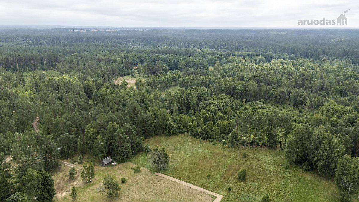 Dzūkijos Pušynuose Šalia Merkio Upės - nuotraukos Nr. 29