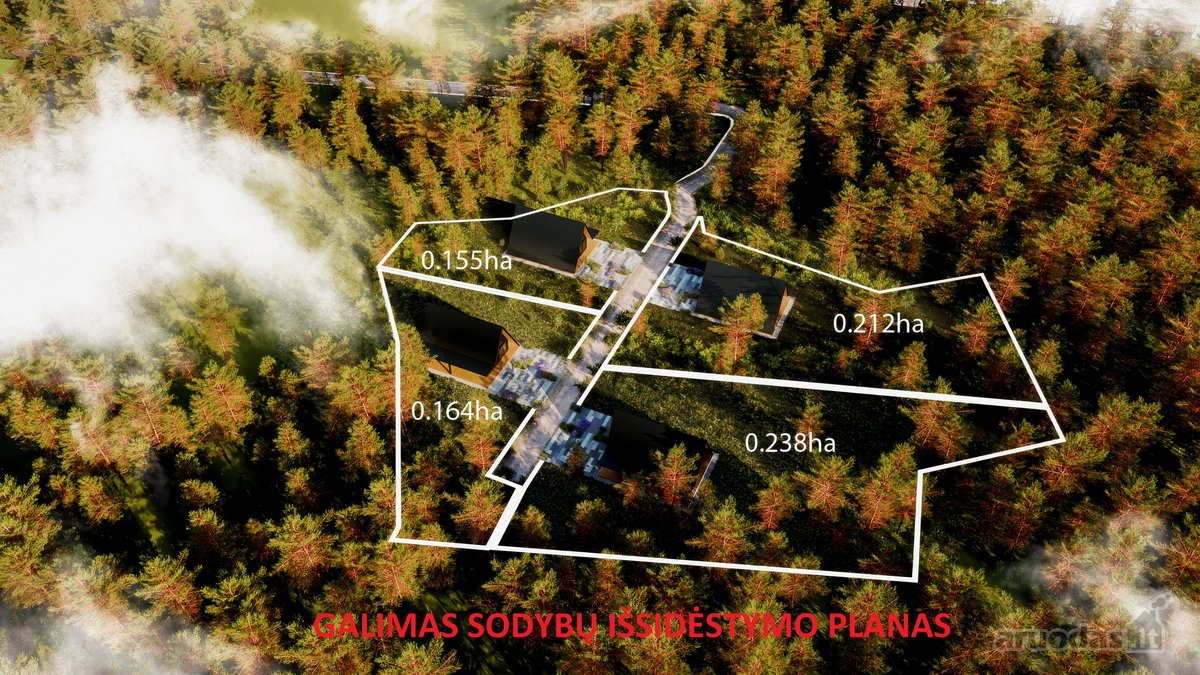 Dzūkijos Pušynuose Šalia Merkio Upės - nuotraukos Nr. 32