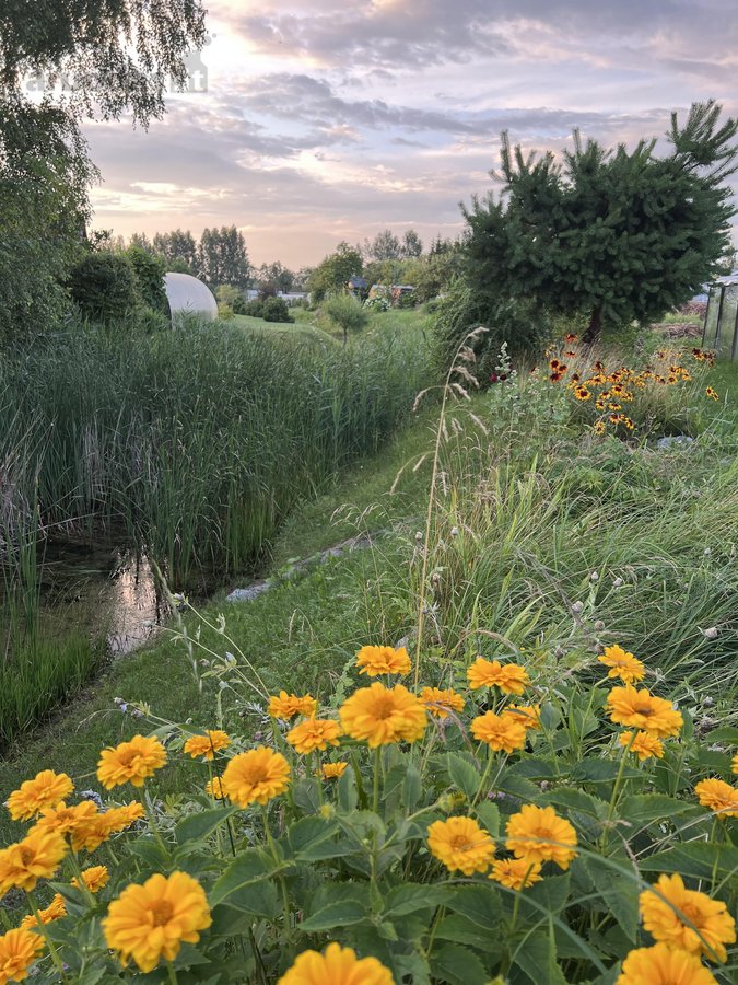 Parduodamas tvarkingas sodo namas Janališkių - nuotraukos Nr. 11